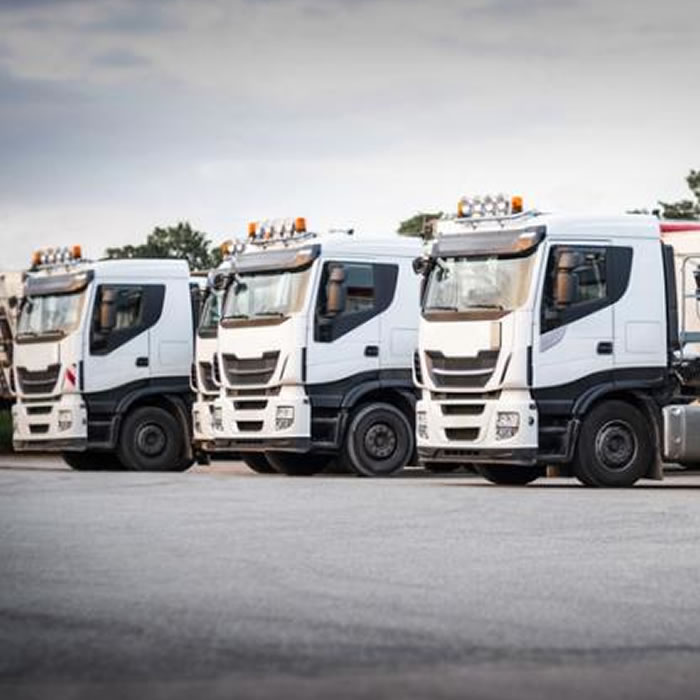 Fleet Haulage Trucks